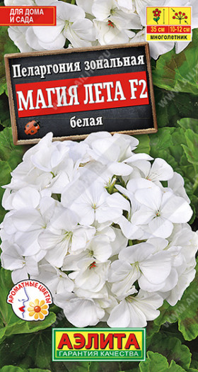 Магия лета F2 белая Ц(А)
