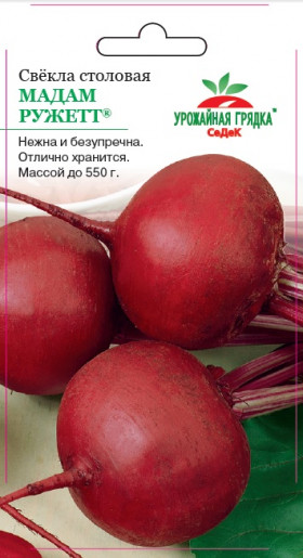 Мадам Ружетт Ц(С)