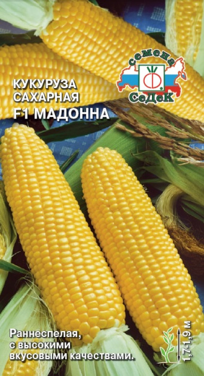 Мадонна Ц(С)