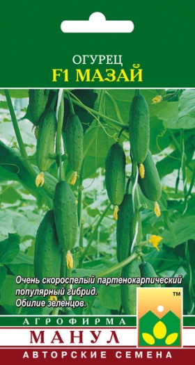 Мазай Манул