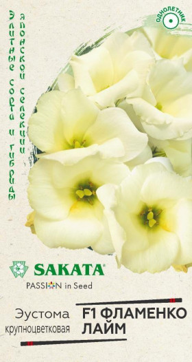 Фламенко лайм Ц(Г)
