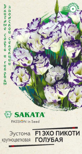 Эхо Пикоти голубая Ц(Г)