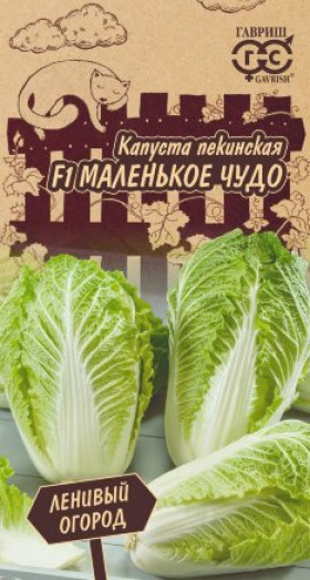 пекинская Маленькое чудо Ц(Г)