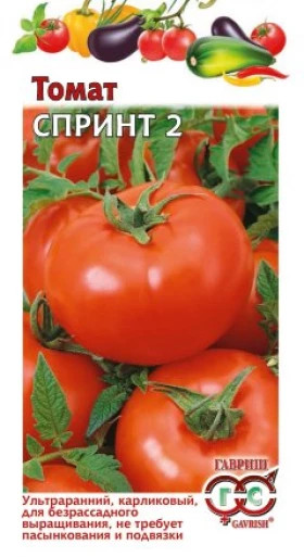 Спринт 2 Ц(Г)