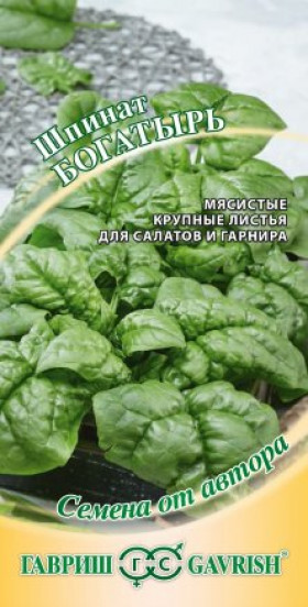 Богатырь Ц(Г)