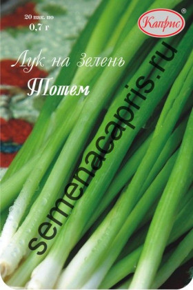 Лук Тотем Каприс 20*0,7г