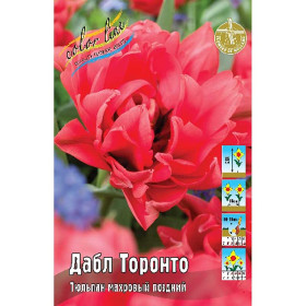 Дабл Торонто 11/12 (махр.поздн) 10шт