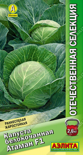 Атаман б/к Ц(А)