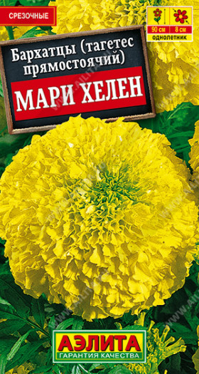 Мари Хелен прямостоячие Ц(А)