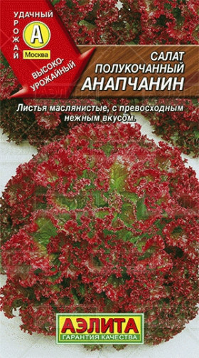 Анапчанин полукоч. Ц(А)