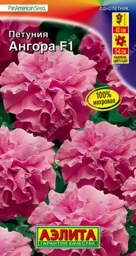 Ангора обильноцвет.. махровая Ц(А)