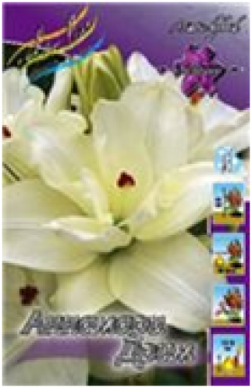 Аннамари Дрим аз махр 5шт