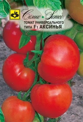 Аксинья (Семко)