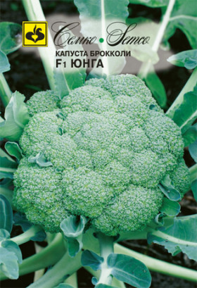 брокколи Юнга Семко