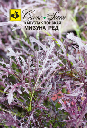 Японская Мизуна Ред Семко