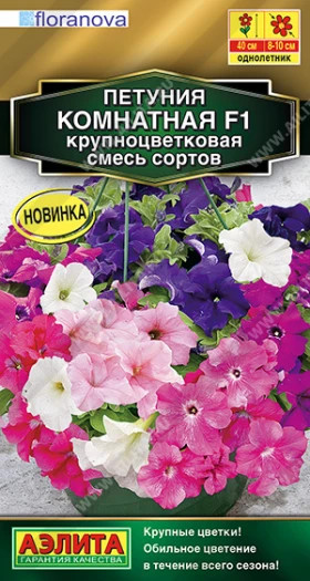 Комнатная крупноцветковая смесь Ц(А)