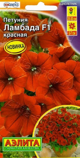 Ламбада красная многоцветковая Ц(А)