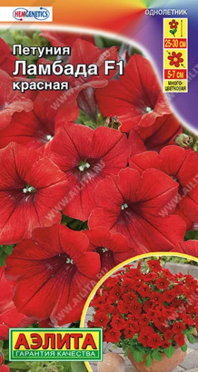 Ламбада смесь многоцветковая Ц(А)