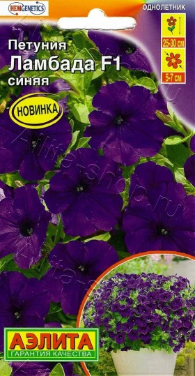 Ламбада синяя многоцветковая Ц(А)