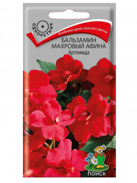 Афина Артемида махр Ц(Поиск)