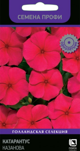 Казанова Ц(Поиск)