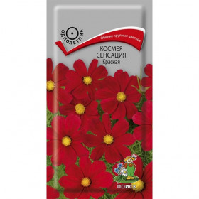 Сенсация Красая Ц(Поиск)