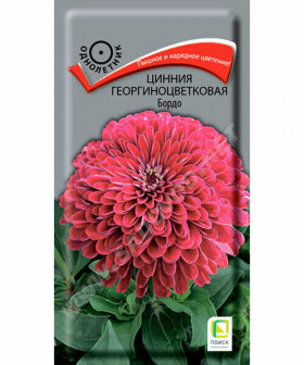 Бордо георгиноцветковая Ц(Поиск)
