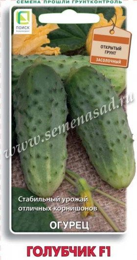 Голубчик Ц(Поиск)