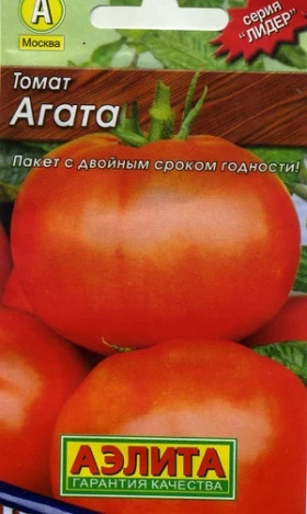 Агата Лидер