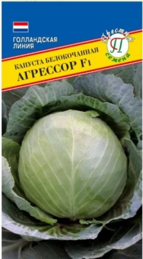 Агрессор Ц(П)