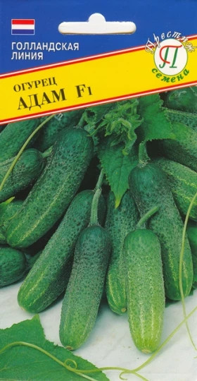 Адам 5шт.Ц(П)