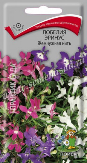 Жемчужная нить Ц(Поиск)