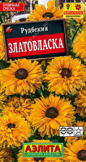 Златовласка Ц(А)