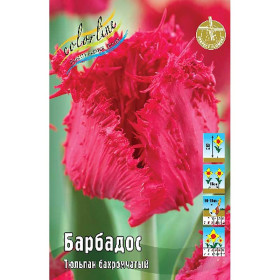 Барбадос 12/+ (бахр.) 8шт