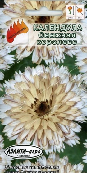 Снежная королева Ц(А) календула