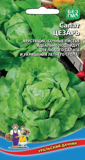 Цезарь Ц(УД)