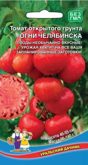 Огни Челябинска Ц(УД)