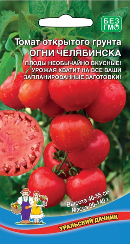Огни Челябинска Ц(УД)