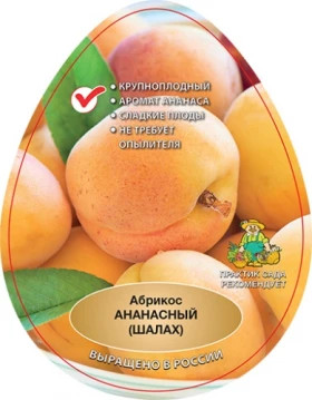 Ананасный (Шалах) 1шт/сетка Поиск