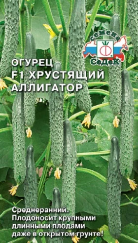 Хрустящий аллигатор Ц(С)