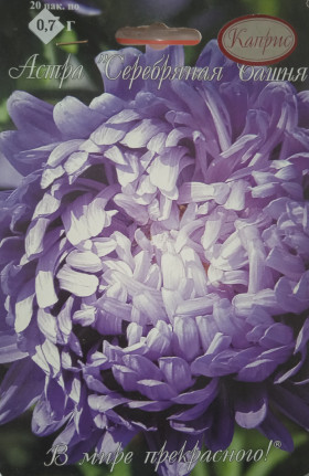 Астра Серебряная Башня Каприс