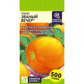Званый Вечер Ц(Алт)