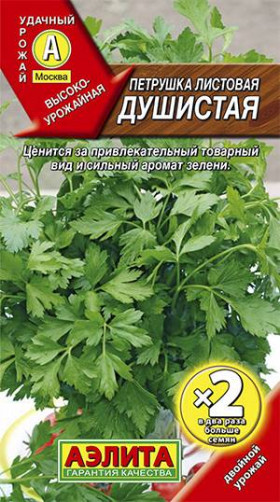 Душистая листовая Ц(А)*2