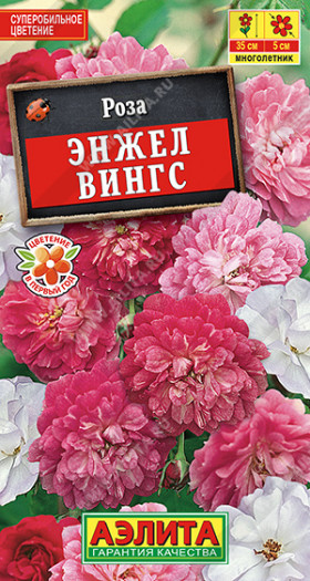 Энжел Вингс Ц(А)