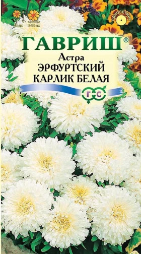 Эрфуртский карлик Белая Ц(Г)