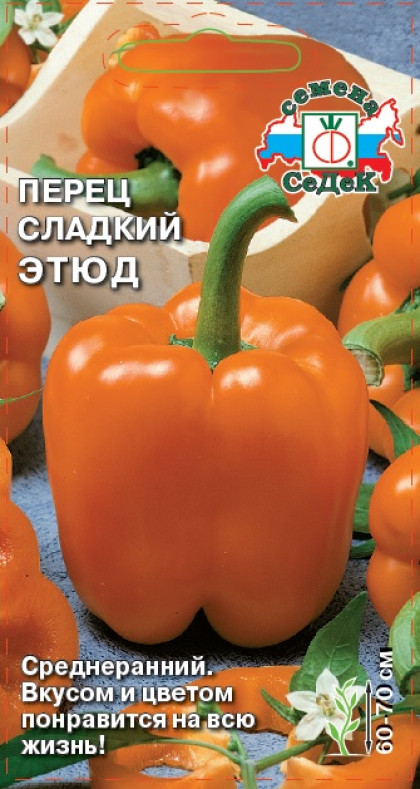 Этюд 1 Ц(С)