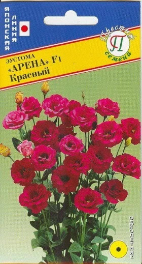 Арена Красный 5др Ц(П)