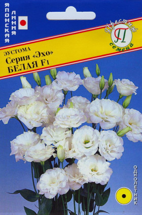 Эхо белая 10др Ц(П)