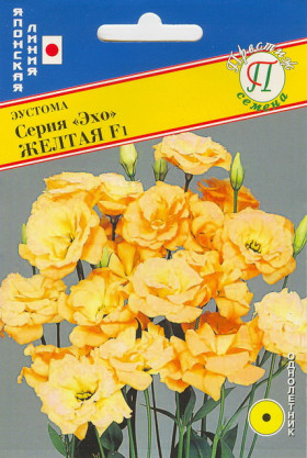 Эхо желтая 10др Ц(П)