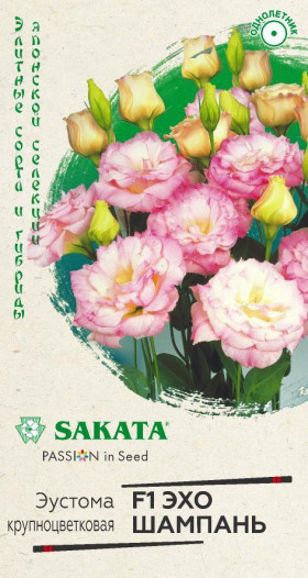 Эхо шампань Ц(Г)